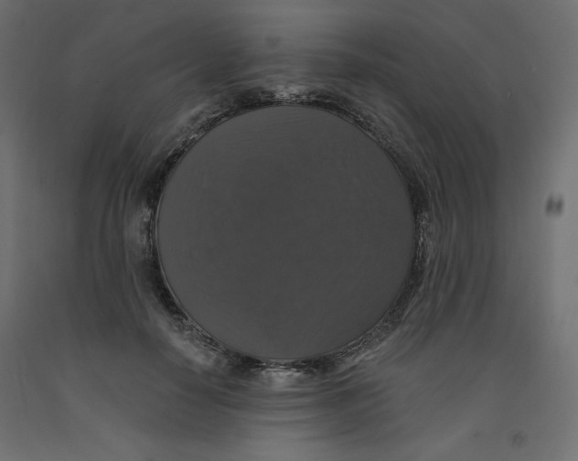 X0000092320650200710121523