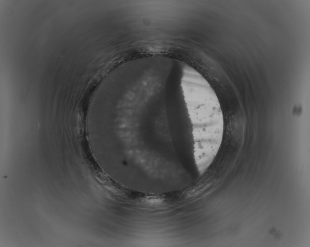 X0000092320651200710121523
