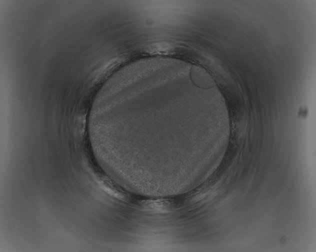 X0000092320652200710121523