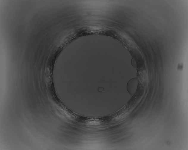 X0000092320653200710121523