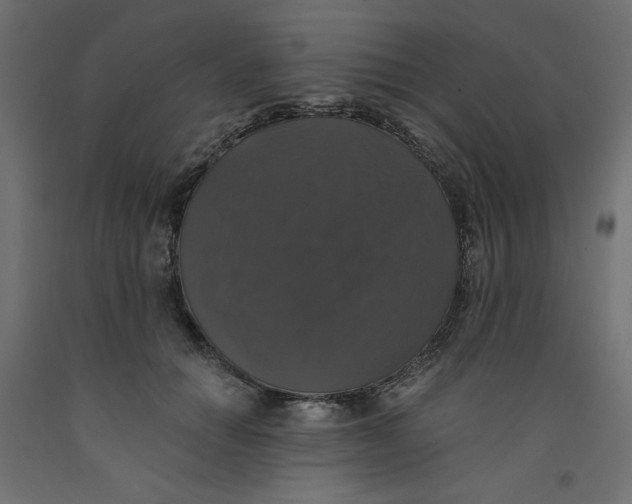 X0000092320654200710121523