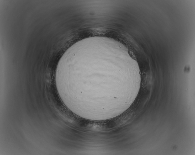 X0000092320655200710121523
