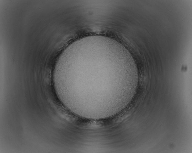 X0000092320656200710121523
