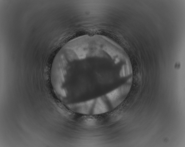 X0000092320658200710121523