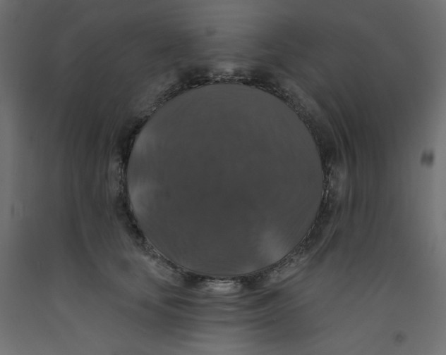 X0000092320659200710121523