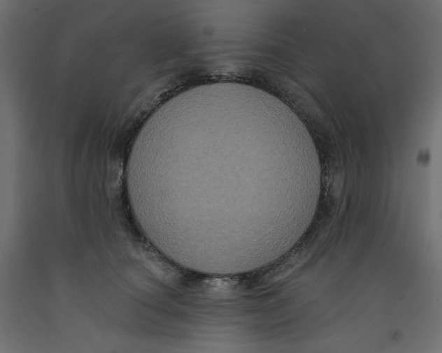X0000092320660200710121523