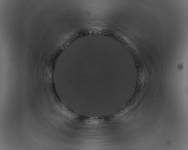 X0000092320661200710121523