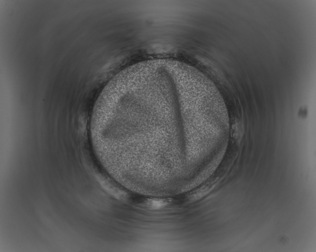 X0000092320662200710121523