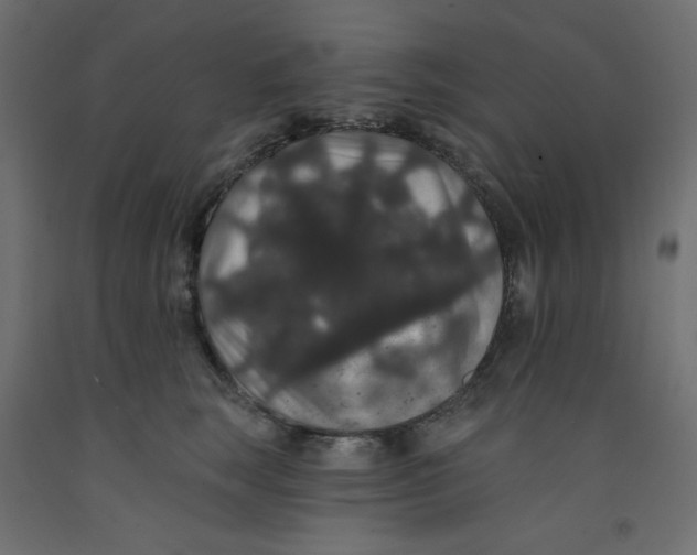 X0000092320663200710121523