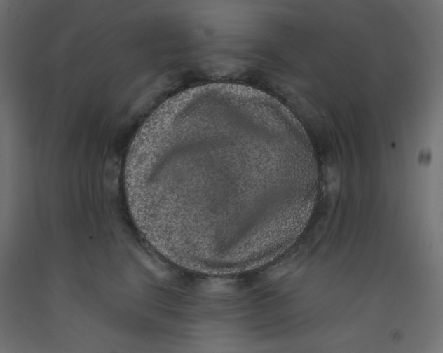 X0000092320664200710121523