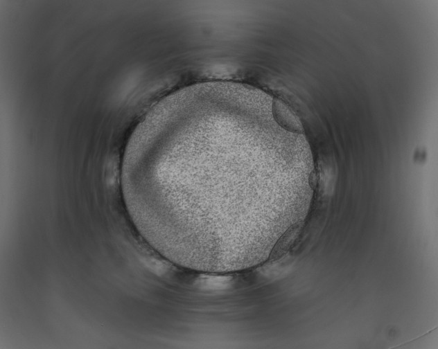 X0000092320665200710121523