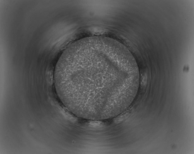 X0000092320666200710121523