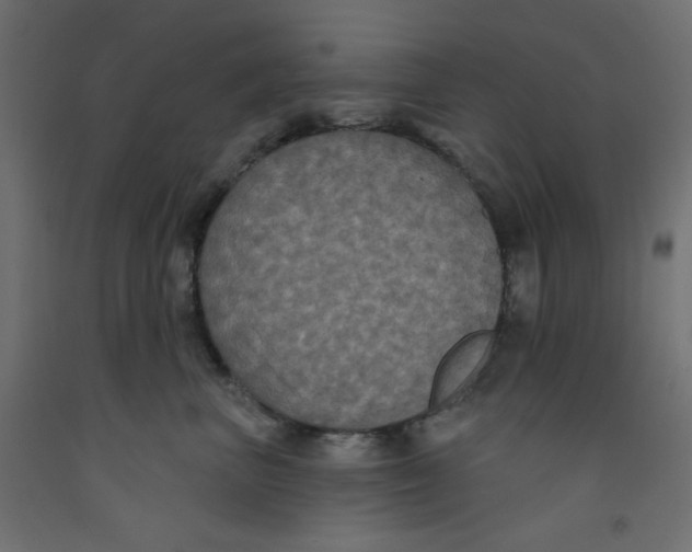 X0000092320667200710121523