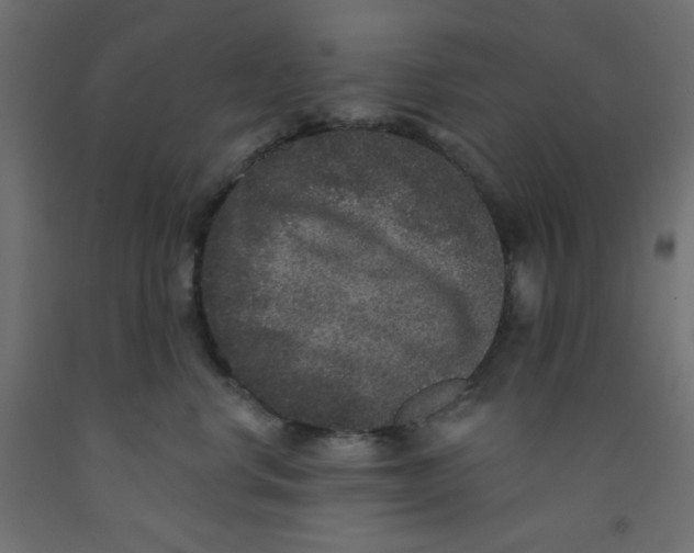 X0000092320668200710121523