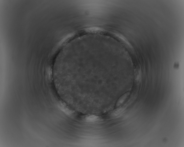X0000092320669200710121523