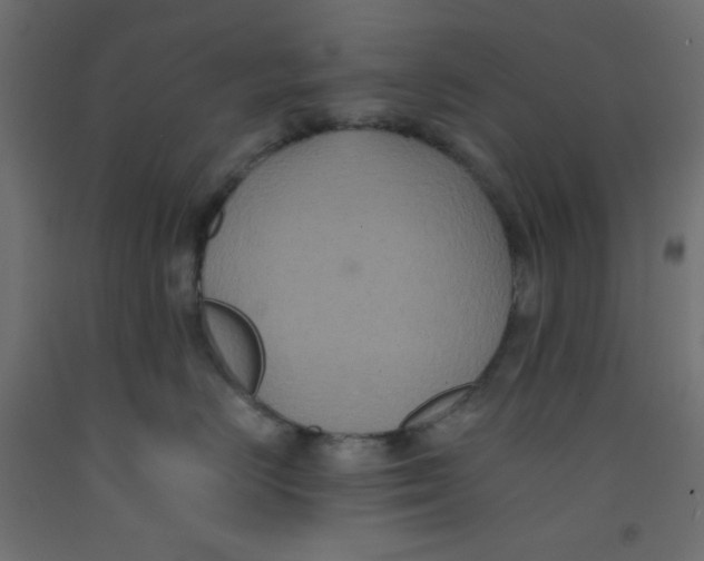X0000092320670200710121523