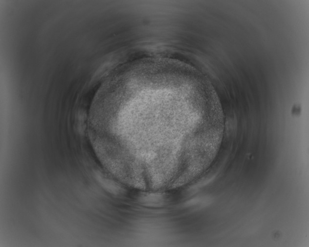 X0000092320671200710121523