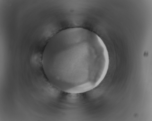 X0000092320672200710121523