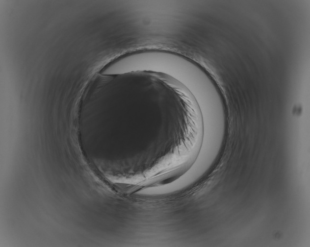 X0000092320673200710121523
