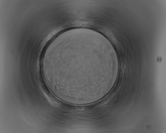 X0000092320674200710121523