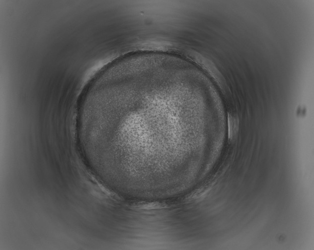 X0000092320675200710121523