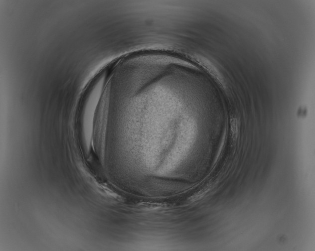 X0000092320676200710121523