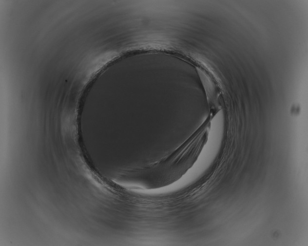 X0000092320677200710121523