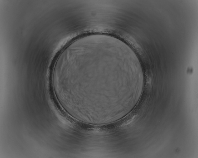 X0000092320678200710121523