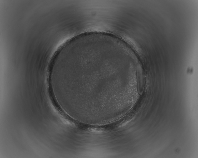X0000092320680200710121523