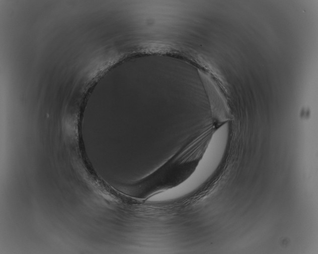 X0000092320681200710121523
