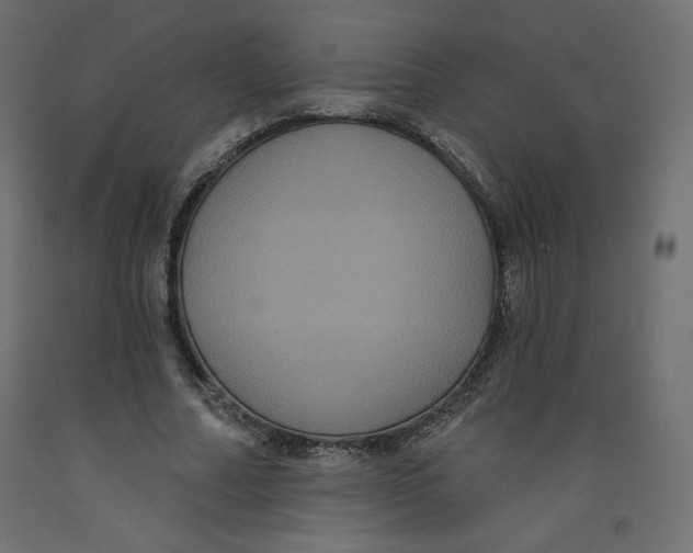 X0000092320682200710121523