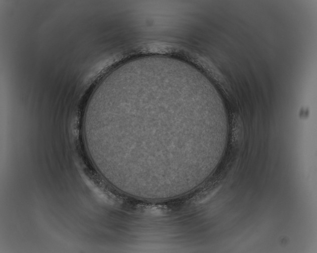 X0000092320683200710121523