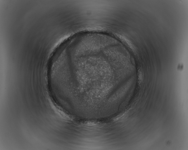 X0000092320684200710121523