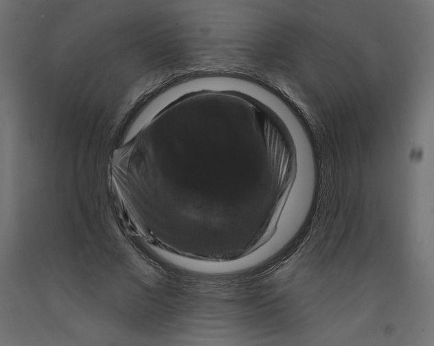 X0000092320685200710121523