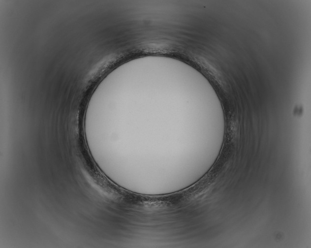 X0000092320686200710121523