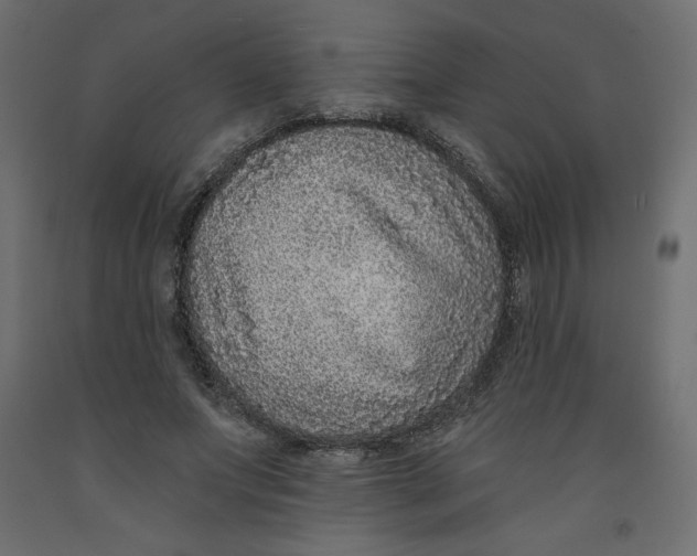 X0000092320687200710121522