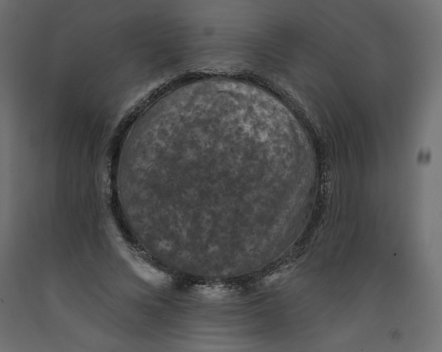 X0000092320688200710121522