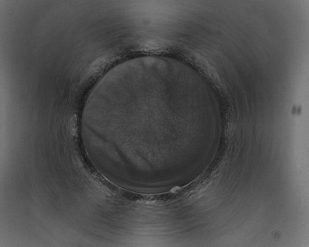 X0000092320689200710121522