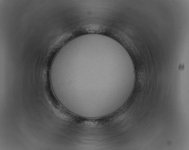 X0000092320690200710121522