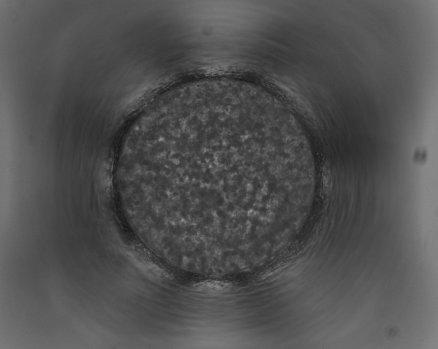 X0000092320691200710121522