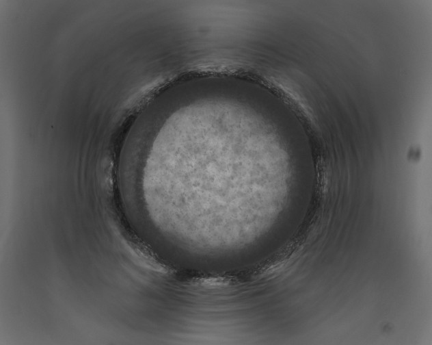 X0000092320692200710121522