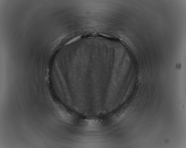 X0000092320693200710121522