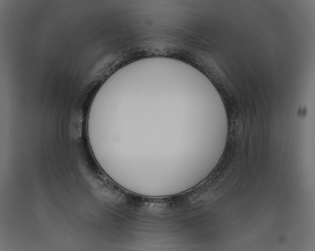 X0000092320694200710121522