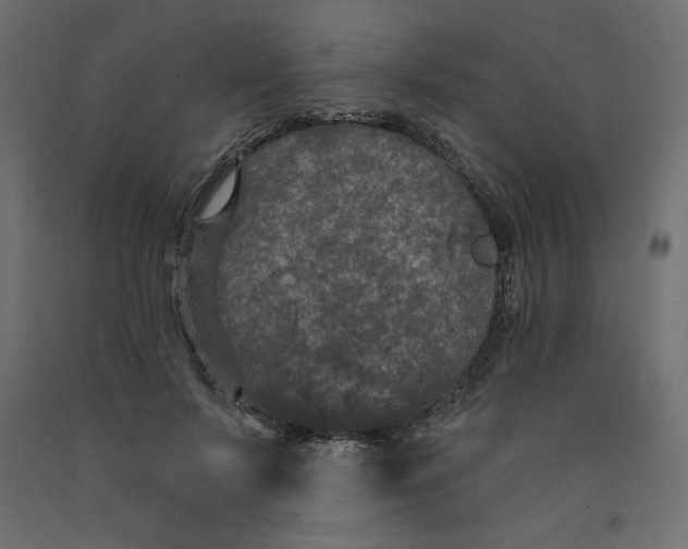 X0000092320695200710121522