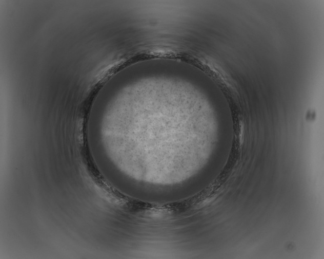 X0000092320696200710121522