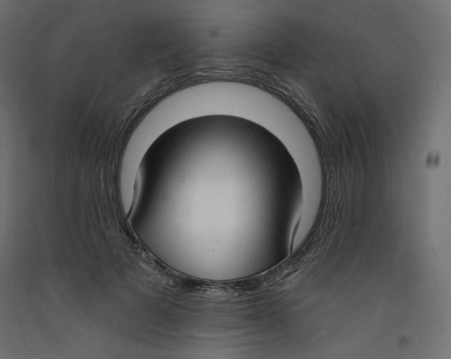 X0000092320697200710121522