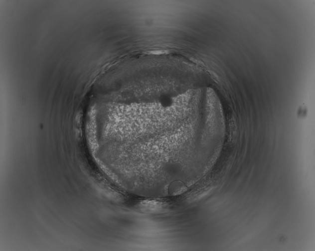 X0000092320699200710121522