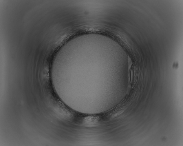 X0000092320700200710121522