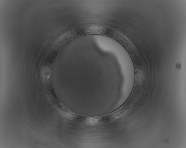 X0000092320701200710121522