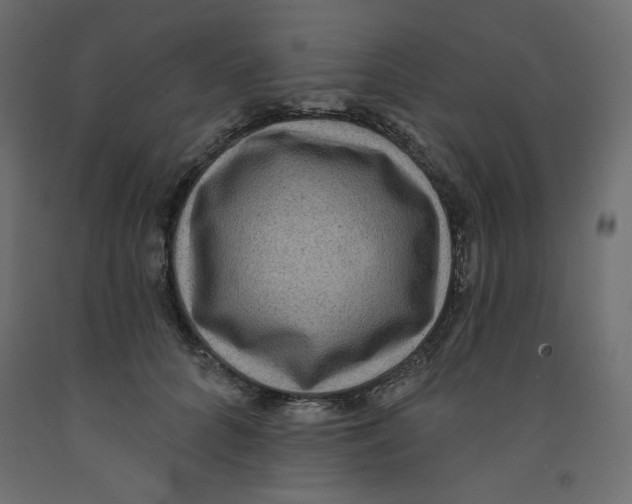 X0000092320704200710121522
